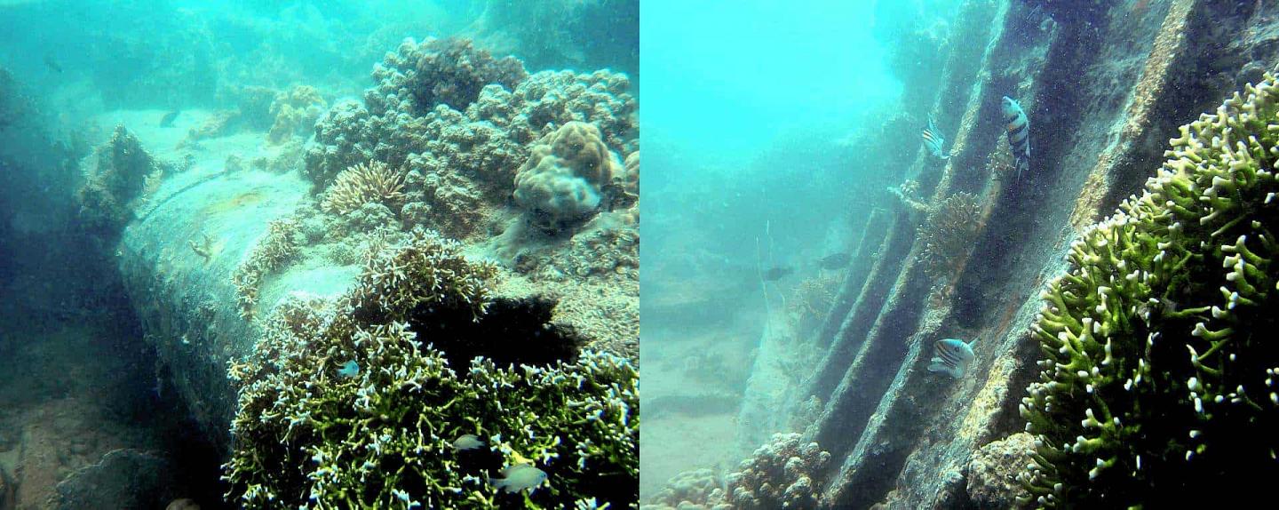 Ship Wreck Diving Zanzibar