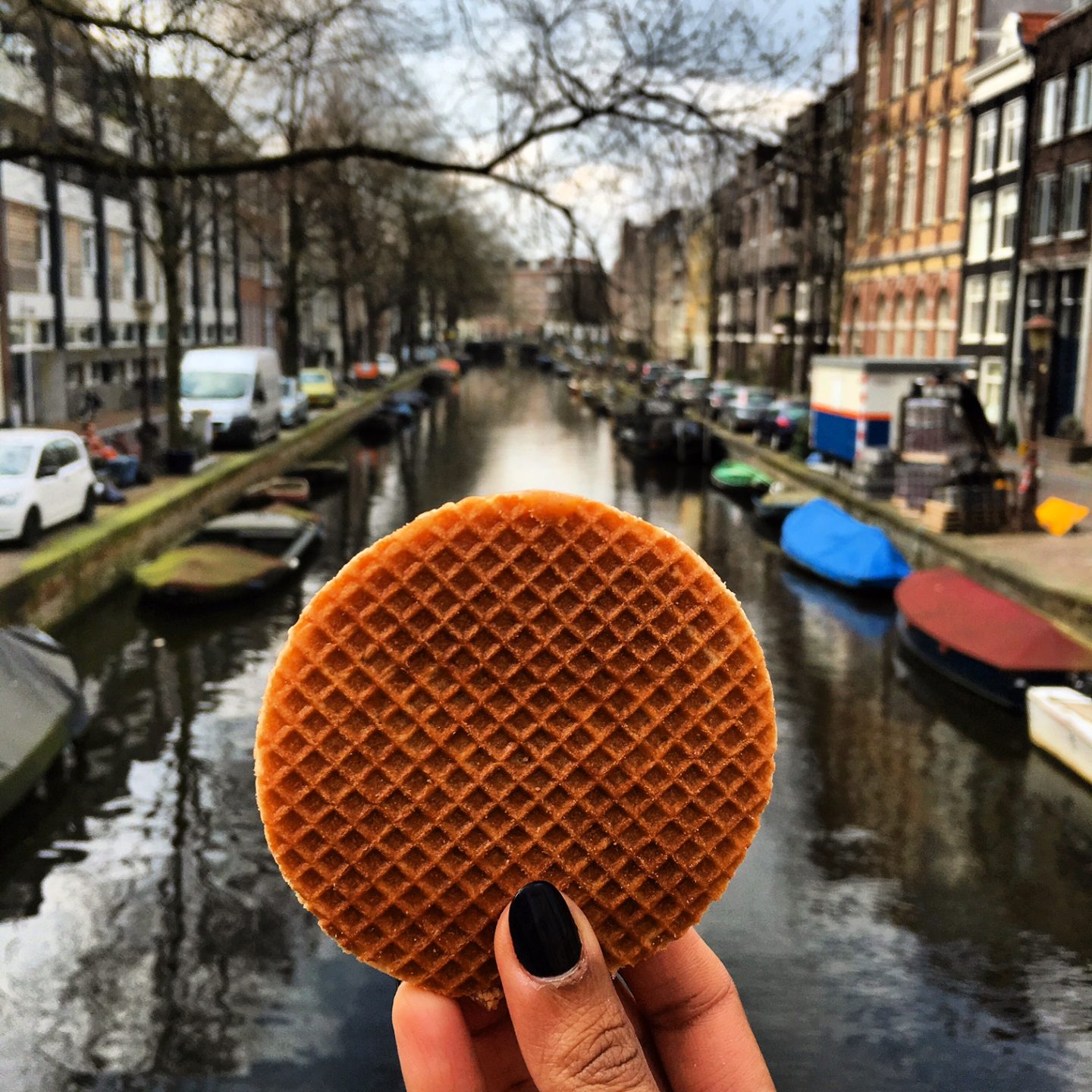 Dutch Food To Try In Amsterdam