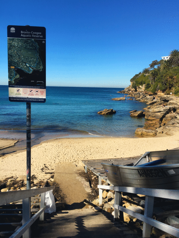 Coogee to Bondi Coastal Walk