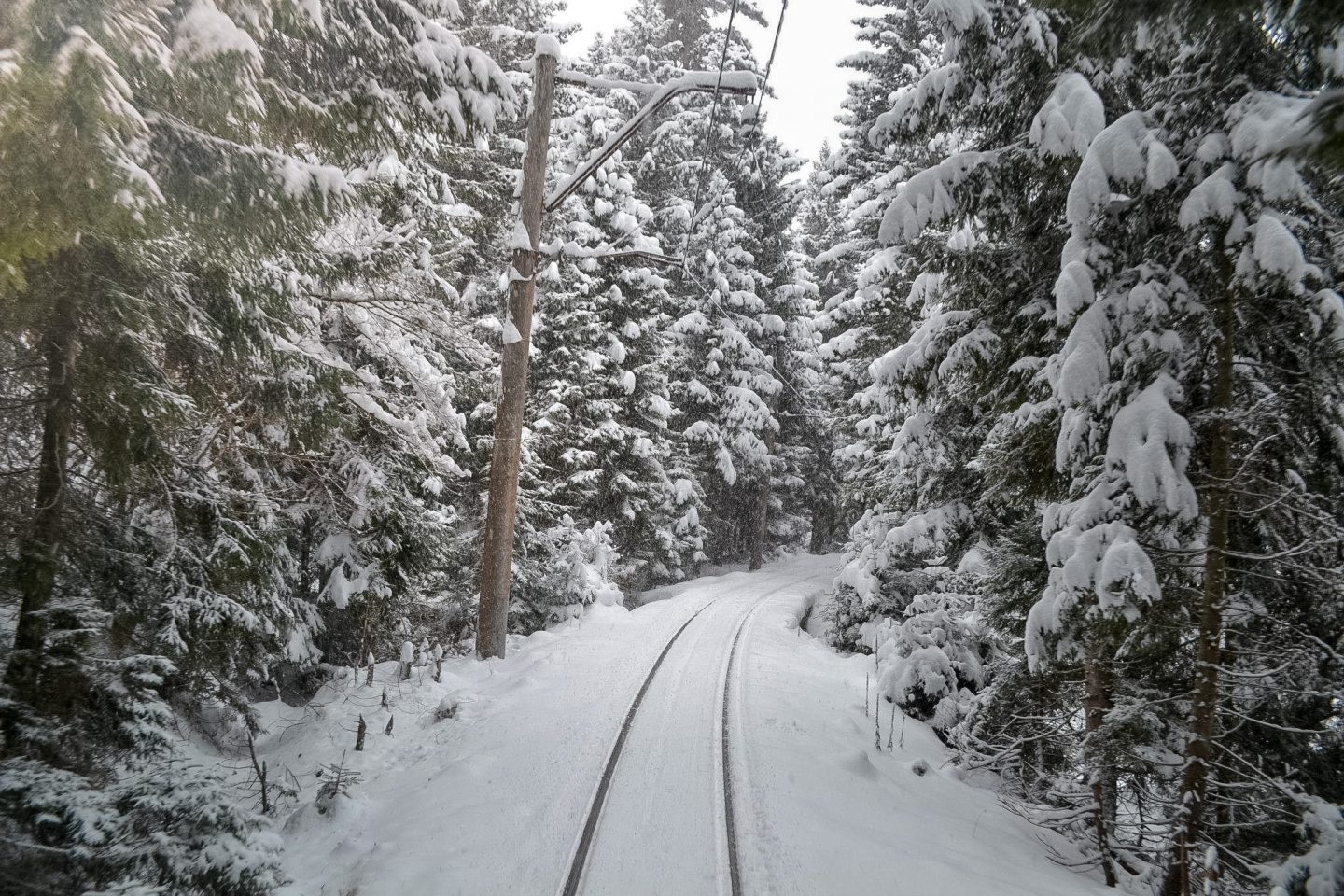 Train ride in Georgia