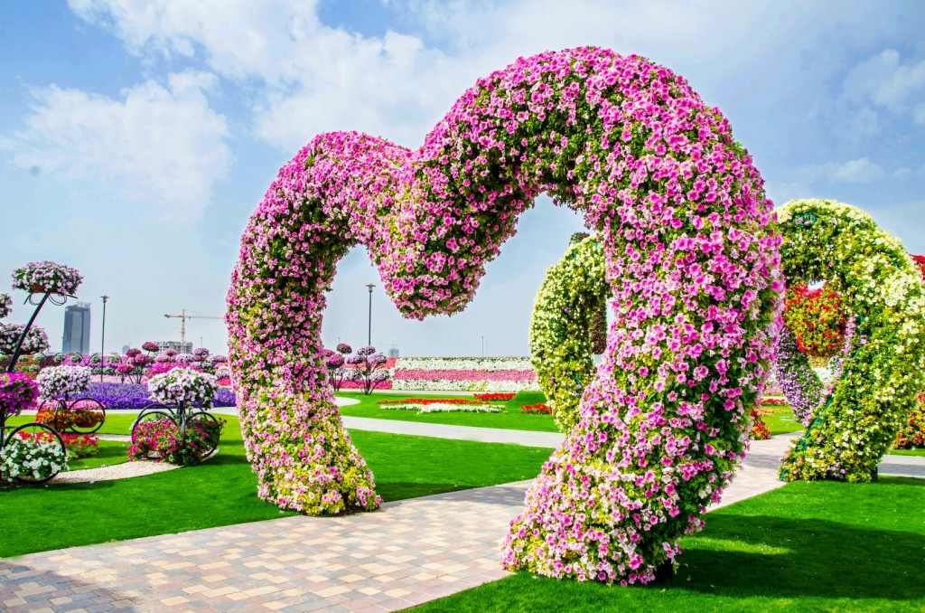 Miracle garden in dubai